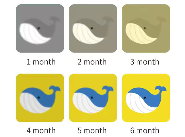 πΆπ Early Learning Visual Stimulation Flashcards π€π§  Talking Cards for Babies & Toddlers