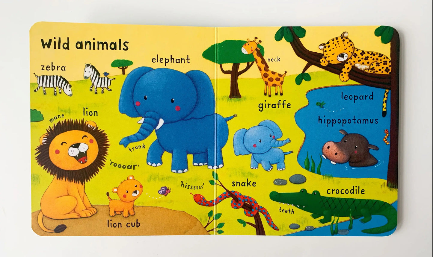 Usborne Very First Words | Gentle Learning for Growing Minds 📘🌟