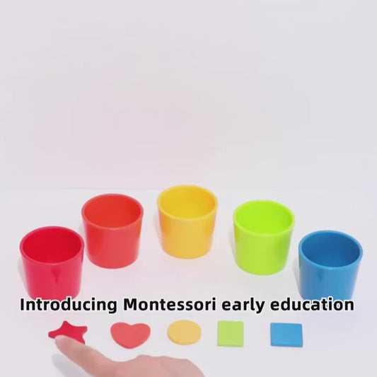 🧩 Montessori Color Shape Classification Toy – Early Education Matching Game for Kids 🎨